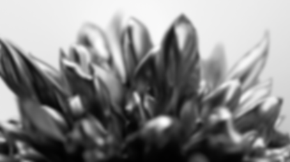 ABSTRACT FLOWER__1080p